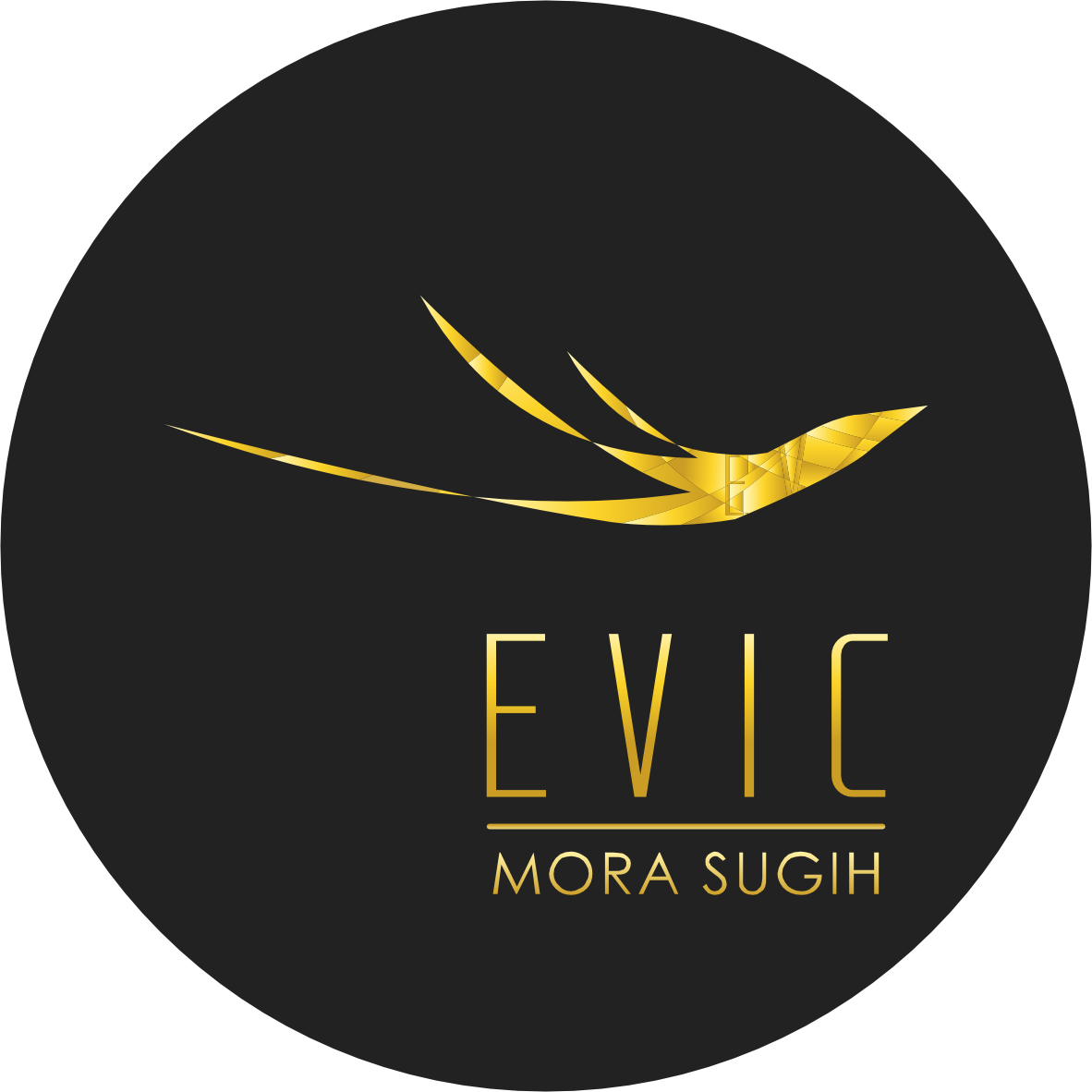 PT Evic Mora Sugih